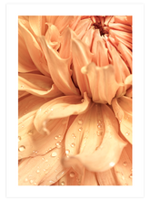 Damlalar - Art Print